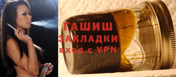 шишки Ельня