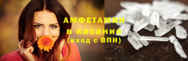 шишки Ельня