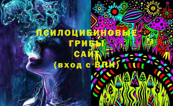МДПВ Заволжье