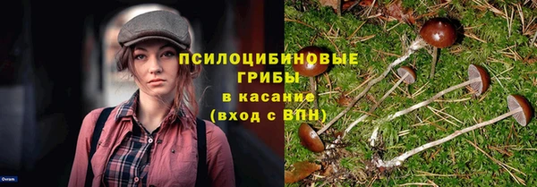 гидропоника Заволжск
